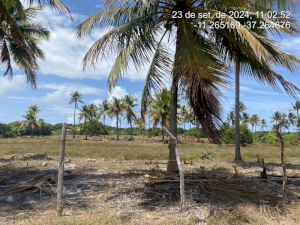 Lote, Consultar, Loteamento Vila Rica do Abais