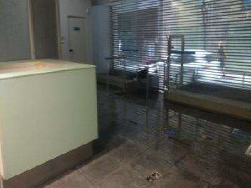 Prédio no Centro (foto 18 de 21)