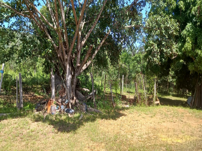 Gleba na Zona Rural (foto 9 de 20)