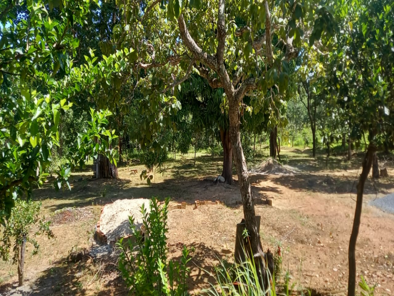 Gleba na Zona Rural (foto 13 de 20)
