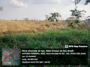 0910da44-1dae-4b43-ab96-67e93697e3f2