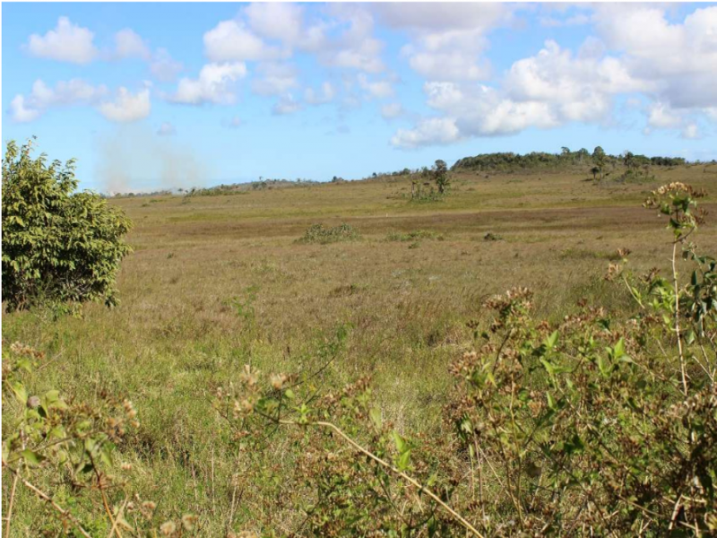 Área, Rural, Fazenda Jaqueira