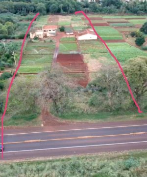 Área em Ribeirão Preto (SP)