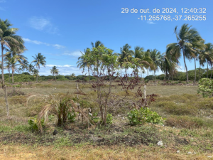 Lote, Consultar, Loteamento Vila Rica do Abais