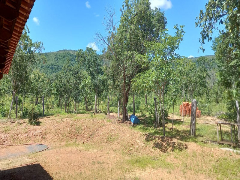 Gleba na Zona Rural (foto 10 de 20)