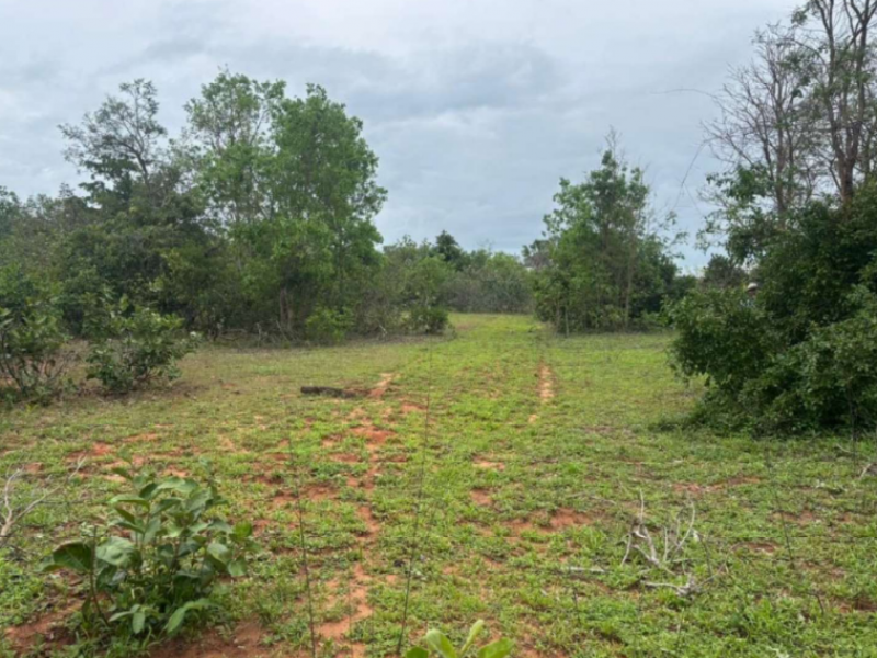 Fazenda, Rural, Rural