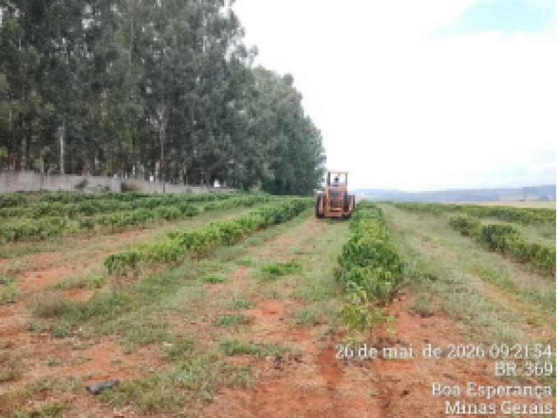 Terreno no Rural (foto 6 de 19)
