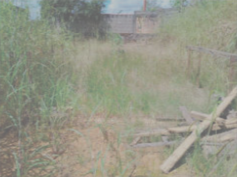 Terreno em Perizes (foto 5 de 6)