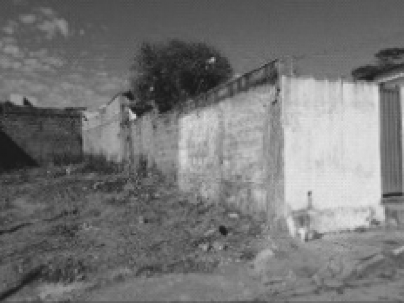 Terreno no Centro (foto 3 de 7)