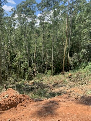 Lote_Condominio em Cajamar (SP)
