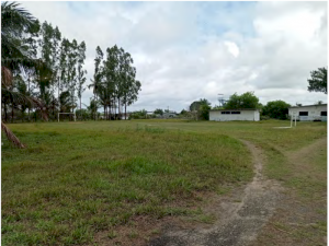 Area em Caravelas (BA)