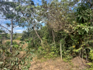 Foto do imóvel Lote, Residencial, Chácaras e Mansões Santa Maria