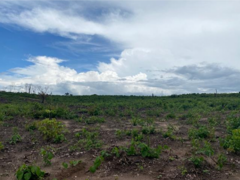 Fazenda, Residencial, Zona rural
