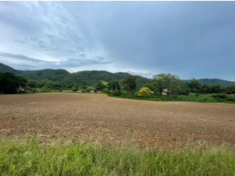 Terreno no Testo Rega (foto 10 de 14)