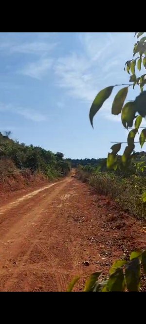 Lote em Belo Oriente (MG)