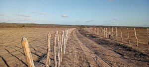Fazenda em João Câmara (RN)