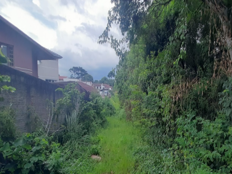 Terreno na Vila Santa Terezinha (foto 2 de 6)