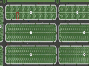 Lote, Residencial, Jardim Botânico I