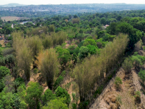 Área, Misto, Fazenda Retiro