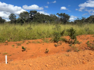 Lote em Lagoa Santa (MG), 510 m²