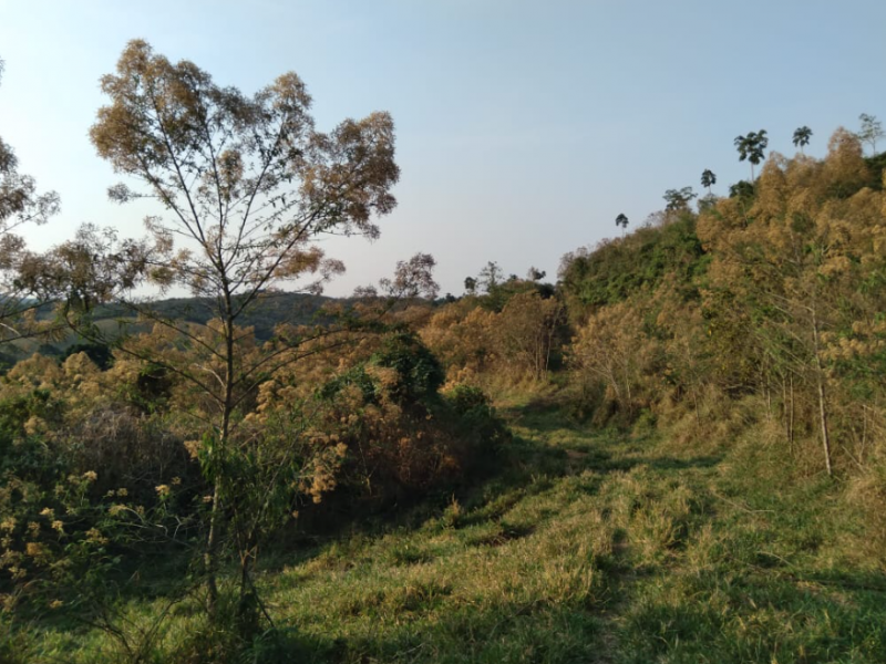 Chácara/Sítio, Rural, Zona Rural