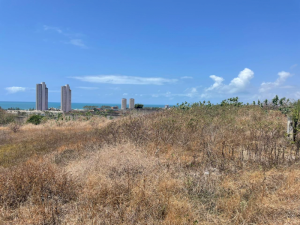 Lote, Consultar, Praia do Futuro