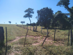 Chácara/Sítio, Rural, Sítio Recanto Tropical