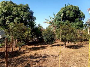 Chácara/Sítio em Ribeirão das Neves (MG)
