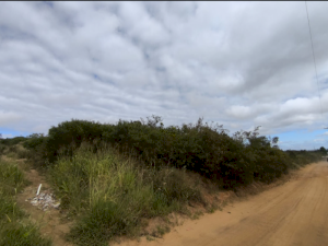 Chácara/Sítio, Rural, N/A