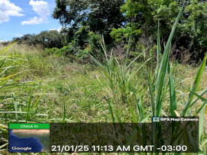Lote, Consultar, Jardim Santa Rita de Cássia