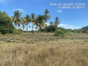Lote, Consultar, Loteamento Vila Rica do Abais