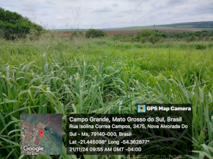 Lote, Consultar, Maria de Lourdes Marson Expansão III