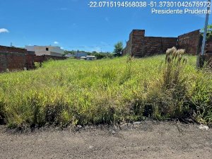 Lote em Presidente Prudente (SP)