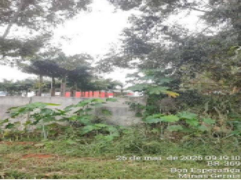 Terreno no Rural (foto 7 de 19)