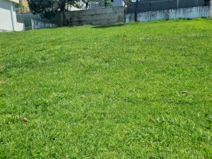 Lote_Condominio em Santana de Parnaíba (SP)