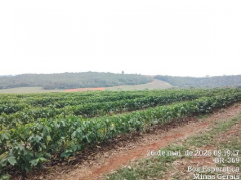 Terreno no Rural (foto 4 de 19)