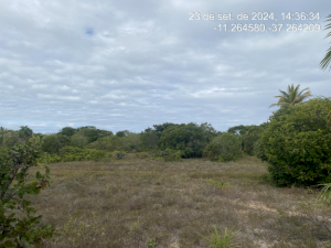 Lote, Consultar, Loteamento Vila Rica do Abais