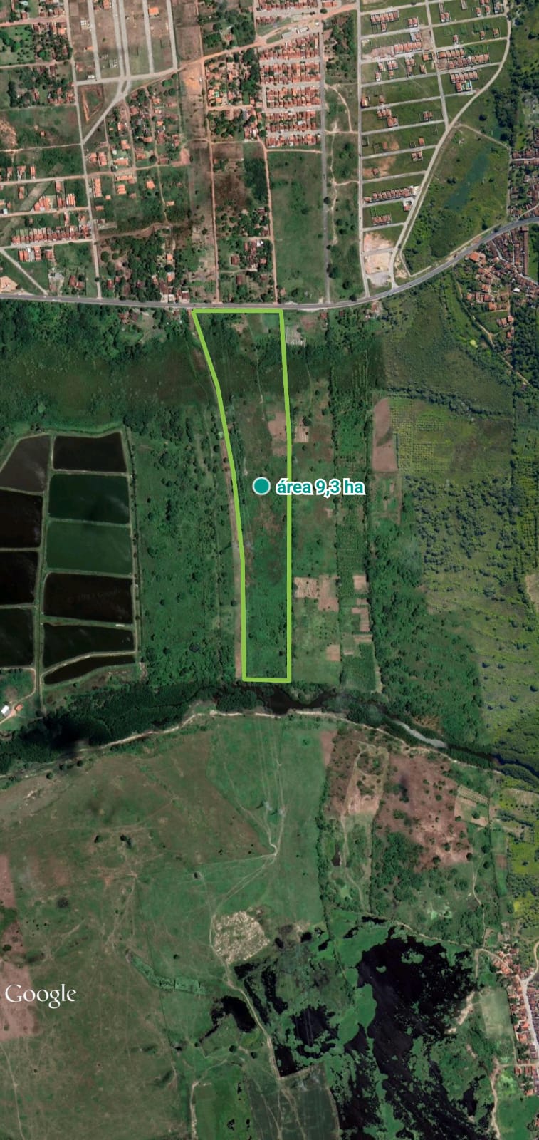 Área, Misto, TRIGUEIRO