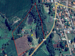 Area em Janiópolis (PR)