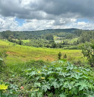 Lote em São Roque (SP)