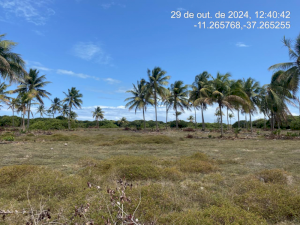Lote, Consultar, Loteamento Vila Rica do Abais