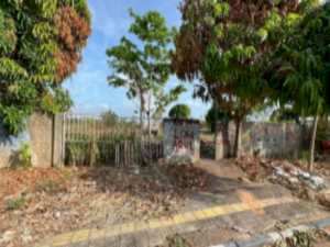 Area em Caracaraí (RR)