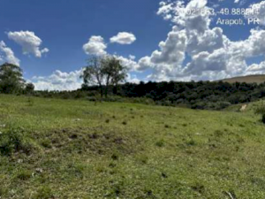 Lote, Rural, Fazenda Faxinal
