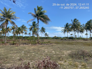 Lote, Consultar, Loteamento Vila Rica do Abais