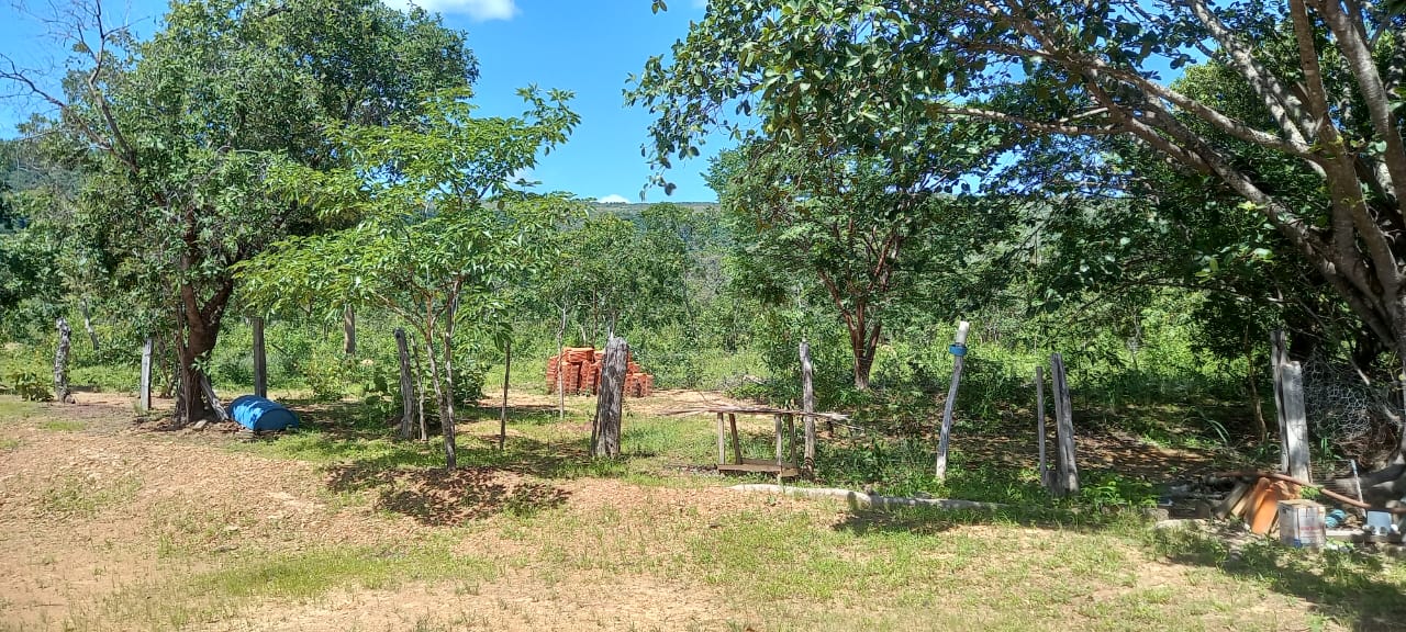 Fazenda, Rural, Zona Rural