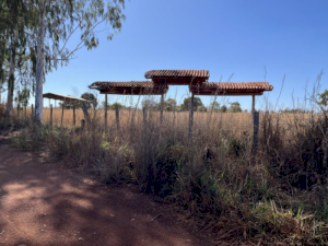 Area em Campinápolis (MT)