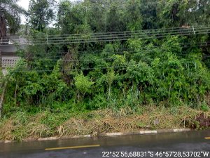 Lote em Campinas (SP)
