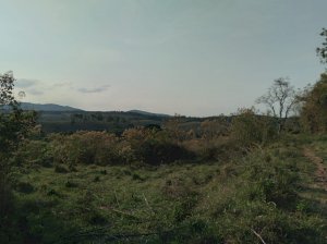 Chácara/Sítio, Rural