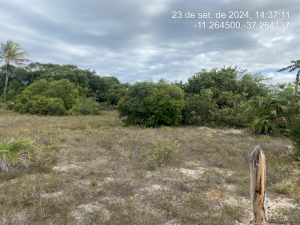 Lote, Consultar, Loteamento Vila Rica do Abais