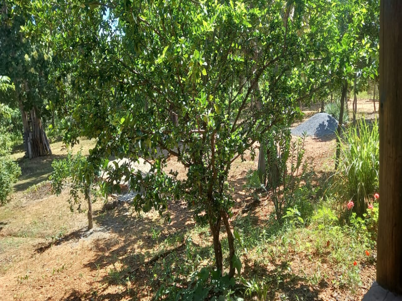 Gleba na Zona Rural (foto 11 de 20)